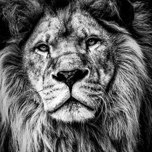 Meet your Posher, Ben